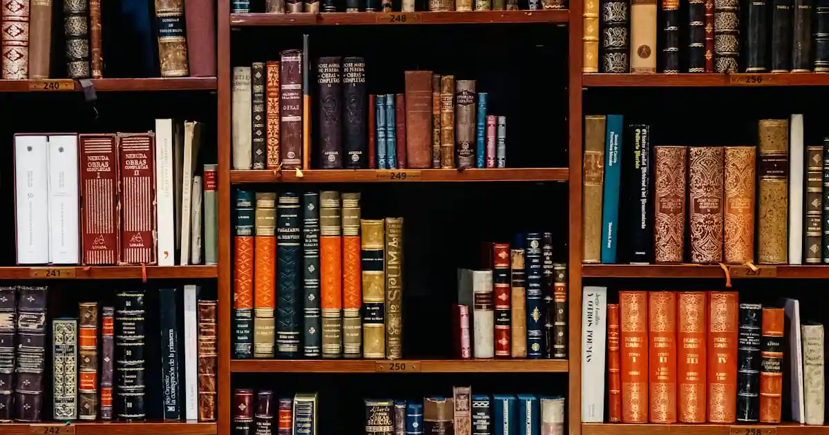 A long aisle of library shelves